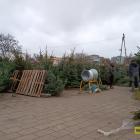 zdjęcie nr 8