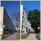 zdjęcie nr 8