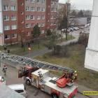 Fotka nr 5 z 10