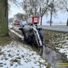 Fotka nr 3 z 8