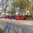 zdjęcie nr 8