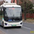 zdjęcie nr 15