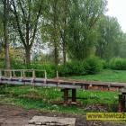 Fotka nr 2 z 21