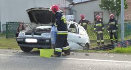 zdjęcie nr 7