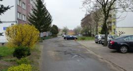 zdjęcie nr 12