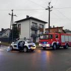 Fotka nr 3 z 12