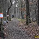 zdjęcie nr 9