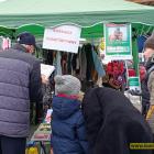 zdjęcie nr 12