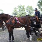 zdjęcie nr 219