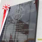 zdjęcie nr 39