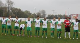 Fotka nr 1 z 12