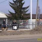 zdjęcie nr 16