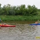 zdjęcie nr 37