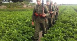 Fotka nr 3 z 13