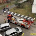 Fotka nr 2 z 10