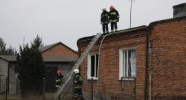zdjęcie nr 8