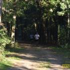 zdjęcie nr 59