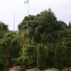 zdjęcie nr 10