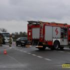 Fotka nr 3 z 12