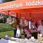 zdjęcie nr 17