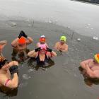 zdjęcie nr 13