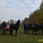 zdjęcie nr 160