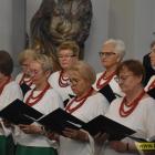 zdjęcie nr 47