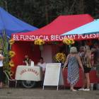 zdjęcie nr 50