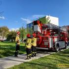 Fotka nr 3 z 11