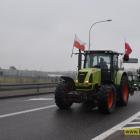 zdjęcie nr 15