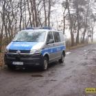 zdjęcie nr 11
