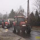 zdjęcie nr 42