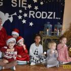 zdjęcie nr 8
