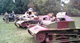 Fotka nr 4 z 8