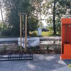 zdjęcie nr 7