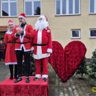 zdjęcie nr 12