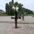 zdjęcie nr 8