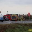 Fotka nr 3 z 19