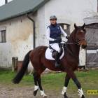 Fotka nr 3 z 98