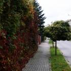 zdjęcie nr 36