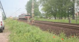Fotka nr 5 z 8