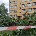 zdjęcie nr 17