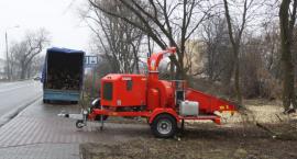Fotka nr 2 z 11