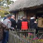 zdjęcie nr 37