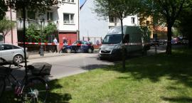 Fotka nr 2 z 6