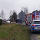 Fotka nr 5 z 7
