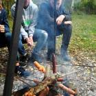 zdjęcie nr 8