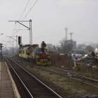 Fotka nr 5 z 12