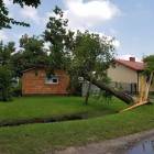 Fotka nr 5 z 8