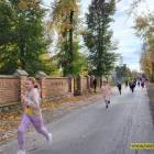 zdjęcie nr 14